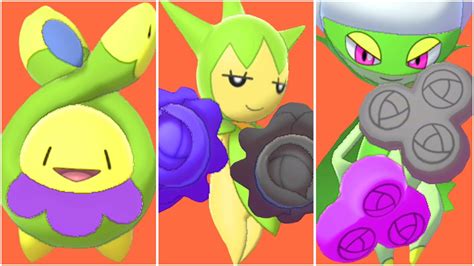 shiny budew evolution.